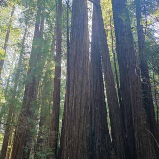 campery asone - wyprawy_kamperowe_usa_2026 (12).